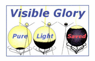 VISIBLE GLORY PURE LIGHT SAVED logo