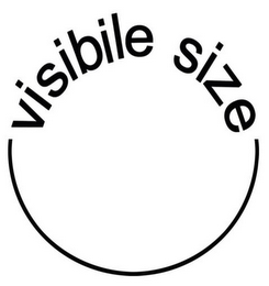 VISIBLE SIZE logo
