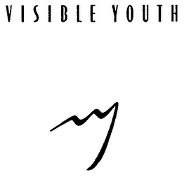 VISIBLE YOUTH logo