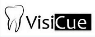 VISICUE logo