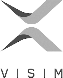 VISIM logo