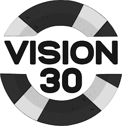 VISION 30 logo