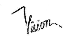 VISION logo
