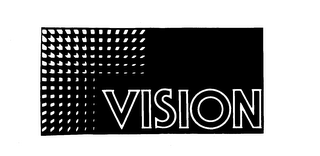 VISION logo