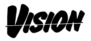 VISION logo