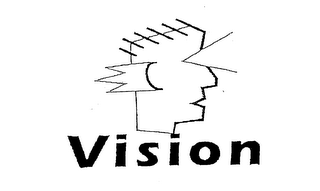 VISION logo