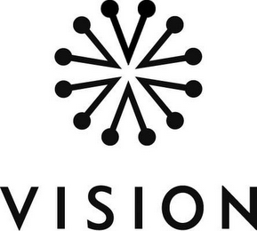 VISION logo