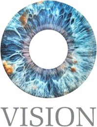 VISION logo