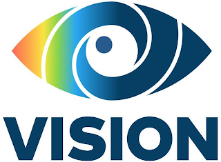 VISION logo