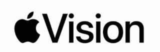 VISION logo