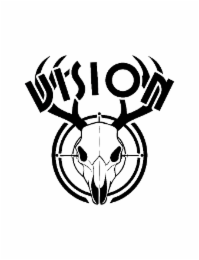 VISION logo