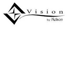 VISION BY NELSON logo
