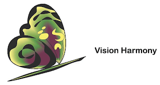 VISION HARMONY logo
