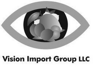 VISION IMPORT GROUP LLC
