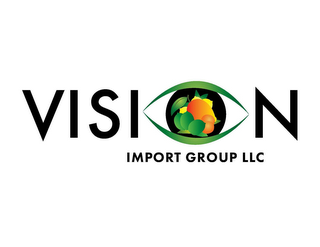 VISION IMPORT GROUP LLC logo