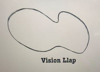 VISION LLAP logo