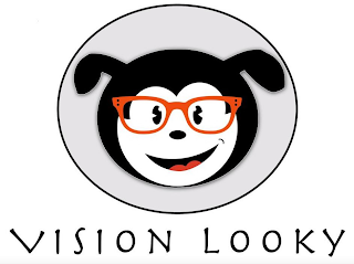 VISION LOOKY logo