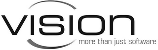 VISION MORE THAN JUST SOFTWARE logo