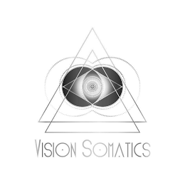 VISION SOMATICS logo