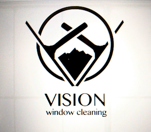 VISION WINDOW CLEANING V O logo