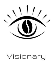 VISIONARY logo