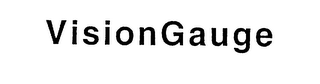 VISIONGAUGE logo