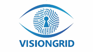 VISIONGRID logo