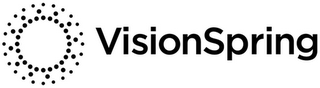 VISIONSPRING logo