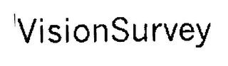 VISIONSURVEY logo