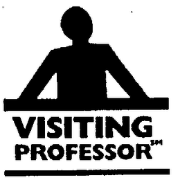 VISITING PROFESSOR logo