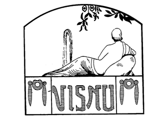 VISNU logo