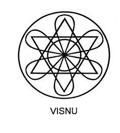 VISNU logo