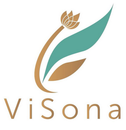 VISONA logo
