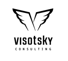 VISOTSKY CONSULTING logo
