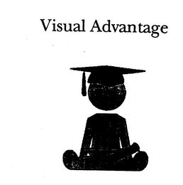 VISUAL ADVANTAGE logo