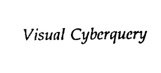 VISUAL CYBERQUERY logo