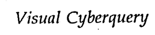VISUAL CYBERQUERY logo