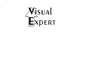 VISUAL EXPERT logo