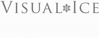 VISUAL ICE logo