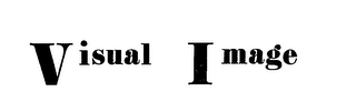 VISUAL IMAGE logo