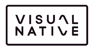 VISUAL NATIVE logo