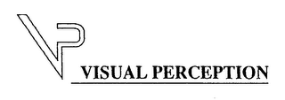 VISUAL PERCEPTION logo