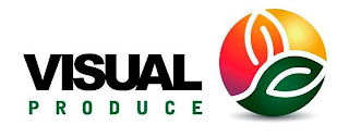 VISUAL PRODUCE logo