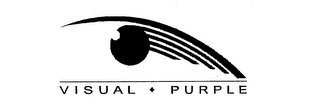 VISUAL PURPLE logo