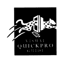 VISUAL QUICKPRO GUIDE logo