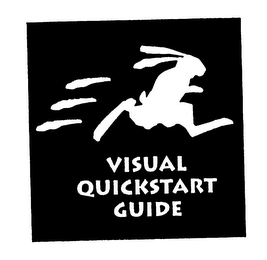 VISUAL QUICKSTART GUIDE logo