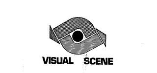 VISUAL SCENE logo