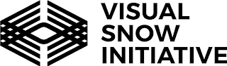 VISUAL SNOW INITIATIVE logo