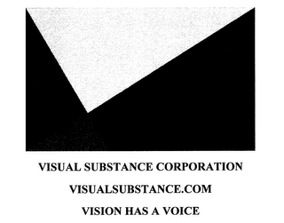 VISUAL SUBSTANCE CORPORATION VISUALSUBSTANCE.COM VISION HAS A VOICE logo