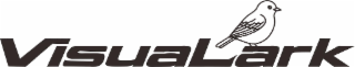 VISUALARK logo